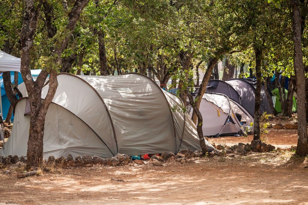 Tentes sous les arbres